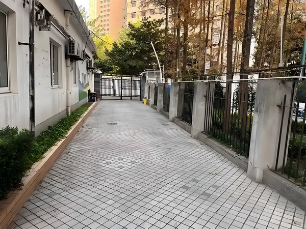 深圳 深户吗_从吃瓜到宣发，有多少人泡在B站影视区？ 无选之后择了基本就别